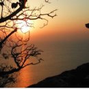 일출종합마트 이미지