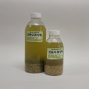 박정숙 농장 이미지