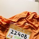 모래내설농탕 | [2026 서울 유아차런] 굿즈 언박싱! 🧡 거북이반 출격 준비 &amp; 모래내설농탕 먹방 🍲