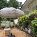 손커피연구소 이미지