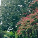 섬지캠핑장 이미지