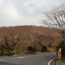 중문동-1 이미지