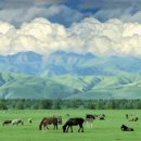 John Denver / TheTake Me Home, Country Roads 이미지