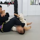 라이프짐MMA 이미지