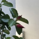잇다카 이미지
