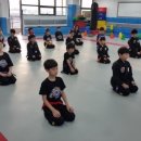 태극타이거합기도 이미지