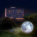 그랜드하얏트서울 이미지