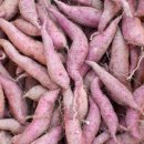 광선농장 이미지