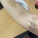 하란영화관 이미지