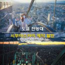 약산온천입구교차로 | 시부야스카이 전망대 예약 할인 쿠폰 가격 입장권 이용 방법 현장구매 불가 시간 맞춰 방문 야경 관람 후기