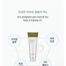 웰스킨