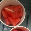 양양군민약국 이미지