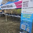 2023 대청호 벚꽃길 마라톤 대회 | 2026 대전 대청호 벚꽃길 마라톤 대회 10km 후기
