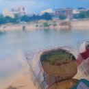 속초751샌드위치 중앙시장직영점 이미지