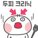 엘헤어(L Hair)