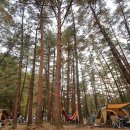 무릉계곡힐링캠프장 이미지