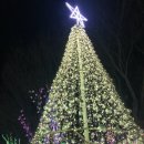 은하수별빛마을 | 겨울 밤 안산 별빛마을 포토랜드 후기