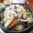 조가네갑오징어 이미지