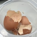 GR(대구광역시 달성군)-[다사로]-하-7 | 아무것도 아니야, 이까짓 것! 자신 있게!!