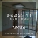 일진뜨리에 이미지