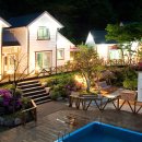 어린왕자의나무별 이미지