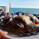 끝집장어구이 이미지