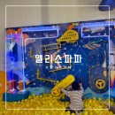 서면 키즈카페 앨리스파파 부산 아이와 실내 가볼만한곳
