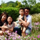 발안주유소 Daum카페