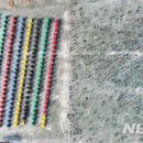 평창송어축제 이미지