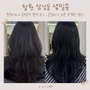 창원 상남동미용실추천 샵일육 블루블랙 염색후기 !
