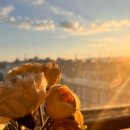 팝콘호스텔 이미지