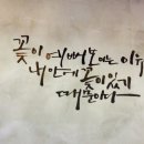 카페꽃내