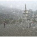 백제회관 이미지