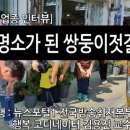 강경쌍둥이젓갈
