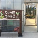 핸드앤트리