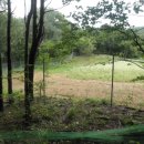 불목농장 이미지