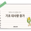 몸짱점핑다이어트