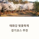 유동 공중화장실 | 태화강 벚꽃축제 걷기코스 추천, 울산의 봄은 이렇게 시작된다