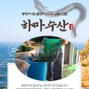달하마유통