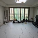 다솜애견미용실 이미지