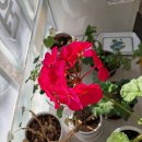 옥계남로5길-1 이미지