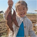 봄빛어린이집 이미지