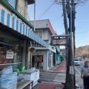 805 | [버스 시간표][2026.04.04] 경남 합천군 구정리, 야로 합동정류소 대구 방향 및 시설