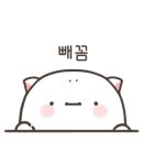 알라딘커피팩토리