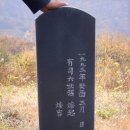 박정용 묘소 이미지