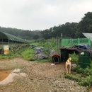 김형수농장 이미지