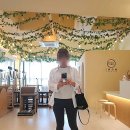 모미필라테스