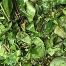 김재연농장 이미지