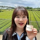한국권건화장품 | 홍대 핏컬러에서 퍼스널컬러 진단 내돈내산 후기 (+여름쿨라이트 화장품 추천)