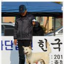 비상초등학교 이미지